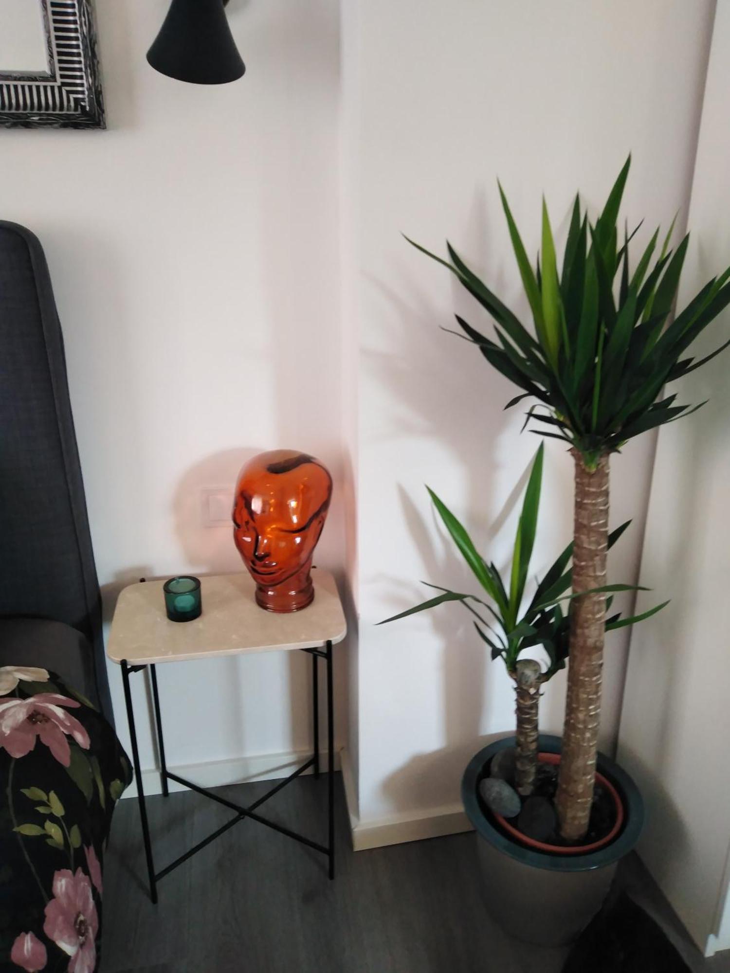 Center City Apartment Zagreb Eksteriør billede